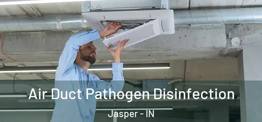  Air Duct Pathogen Disinfection Jasper - IN