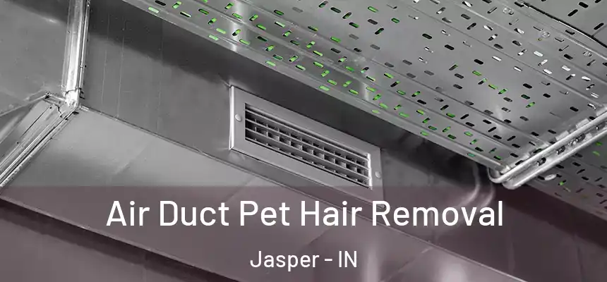  Air Duct Pet Hair Removal Jasper - IN