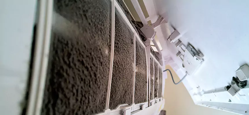 Preventive Air Duct Bacteria Removal in Jasper