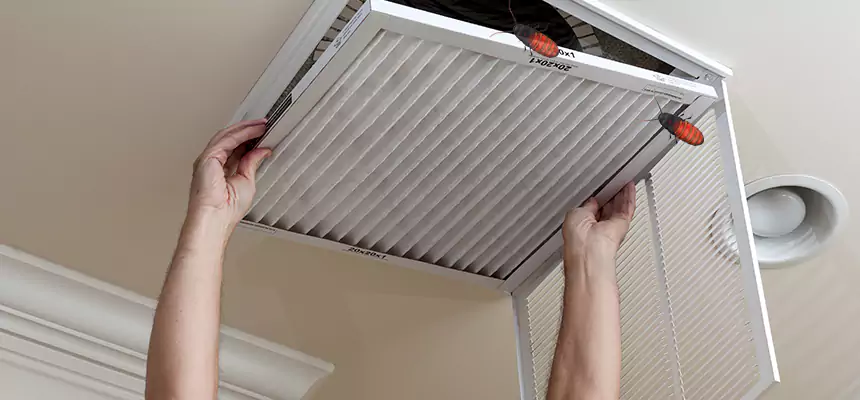 Preventive Cockroach-Proofing for Ducts in Jasper
