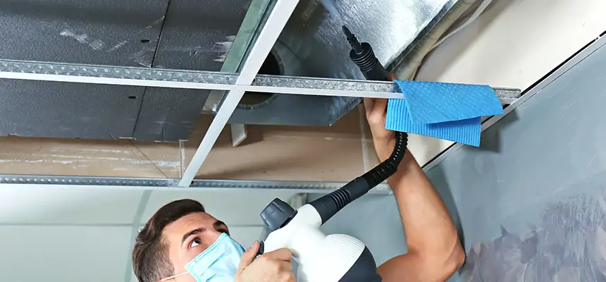 Our Air Duct Rodent Removal Services in Jasper, IN