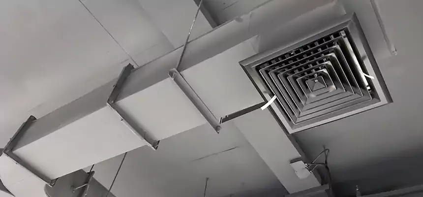 Restorative Allergy Relief Vent Cleaning – Coil, Blower & Housing Detail in Jasper