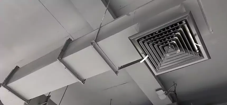 Our Pest Removal From Ducts Services in Jasper, IN