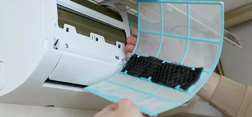 Gentle Ductwork Odor-Control Pet Dander Duct Cleaning in Jasper, IN