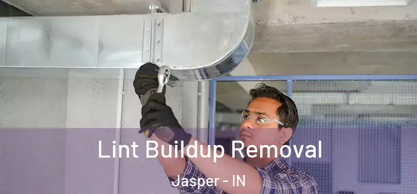  Lint Buildup Removal Jasper - IN