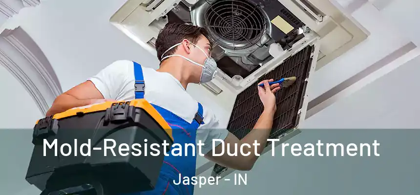  Mold-Resistant Duct Treatment Jasper - IN