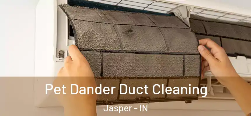  Pet Dander Duct Cleaning Jasper - IN