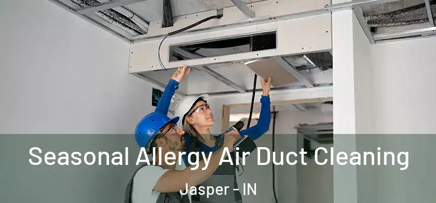  Seasonal Allergy Air Duct Cleaning Jasper - IN