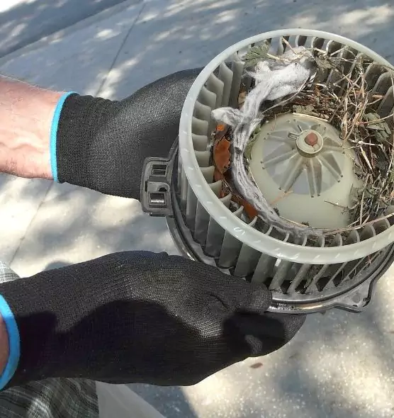 About Air Duct Mice Removal in Jasper, IN