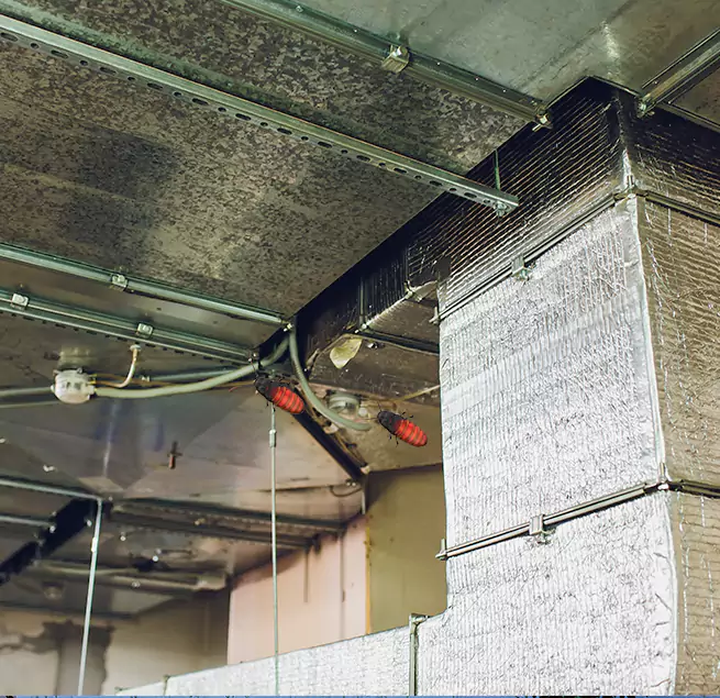 Why Homeowners & Businesses Trust Us in Jasper, IN?