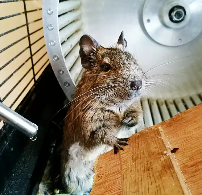 Why Homeowners & Businesses Trust Us Jasper, IN