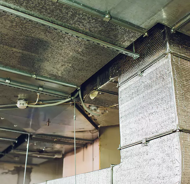 Why Homeowners & Businesses Trust Us in Jasper, IN?