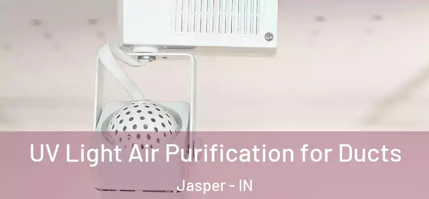  UV Light Air Purification for Ducts Jasper - IN